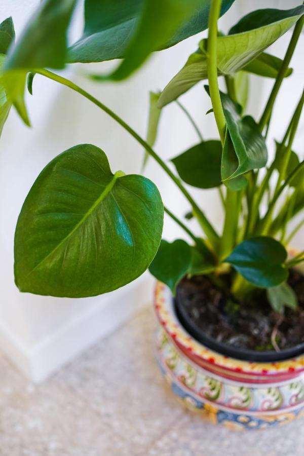 Cortile Santa Teresa Apartment Syracuse Ngoại thất bức ảnh